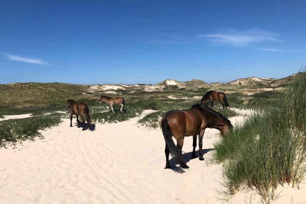 Villa Klein Geluk Egmond aan Zee Zewnętrze zdjęcie