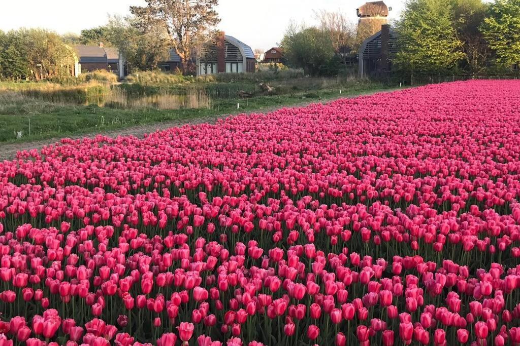 Villa Klein Geluk Egmond aan Zee Zewnętrze zdjęcie