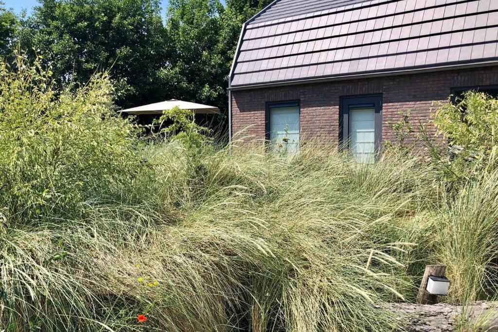 Villa Klein Geluk Egmond aan Zee Zewnętrze zdjęcie